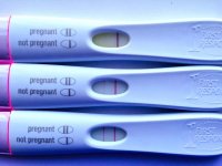 6dp5dt - FRER.jpg