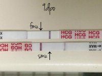 9dpo w arrows.jpg