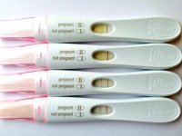 7dp5dt - FRER.jpg
