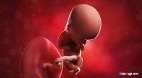 13weeks.jpg