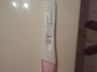 Day 27 14dpo.jpg