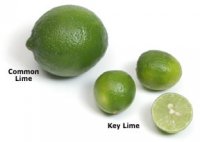 lime_key1.jpg