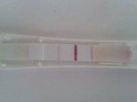 test1.jpg