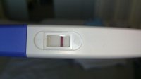 1184.jpg