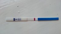 11dpo.jpg