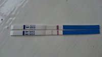 11dpo1.jpg