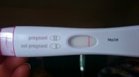 frer11dpo.jpg