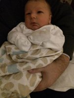 IMG_0652.jpg