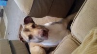 20150314_075509.jpg