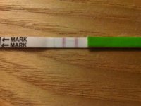 OPK mon night.jpg