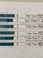 mar9to12dpo.jpg