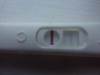 hpt12dpo.jpg