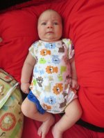 IMG_0984.jpg