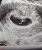 1st scan.jpg