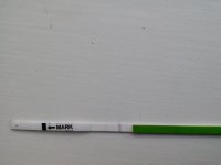 IMG_20150408_190342.jpg