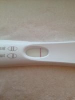 11dpo1.jpg