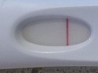 frer9dpo.jpg