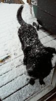 received_10204203968036374.jpg