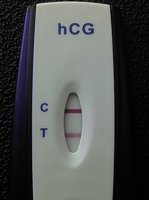 april17cd33.jpg