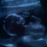 IMAG0127_1.jpg