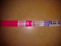 IMG_20150423_094242.jpg