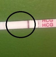 424f.jpg