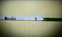IMAG0218-1.jpg