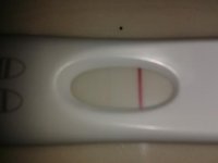 frer1.jpg