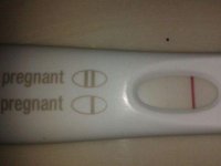 frer2.jpg