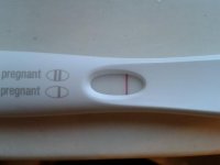 frer7.jpg