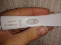 frer5.jpg