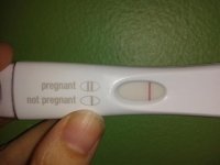 frer6.jpg