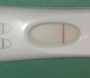 425frer.jpg