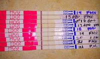 IMG_20150502_021623.jpg