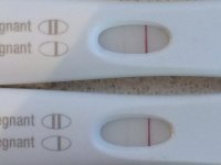 11dpofrer1pm5pm.jpg