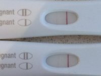 11dpofrer1pm5pm.jpg