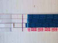 michelle-hcg.jpg