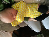IMG_1209.jpg
