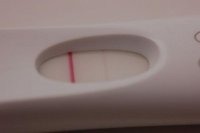 frer test 12 dpo.jpg