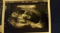 scan 20+5 22 May....jpg