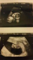 scan 20+5 22 May..jpg