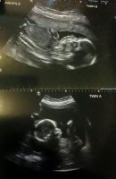 21w4d.jpg