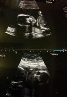 21w4d(2).jpg