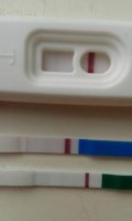 11dpo pregnant.jpg