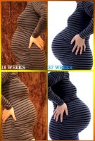 18 vs 37 Weeks Bump.jpg