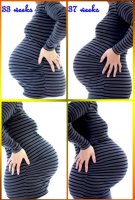 33 and 37 weeks.jpg
