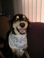20150528_141938.jpg