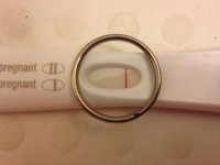 sunfrer2.jpg