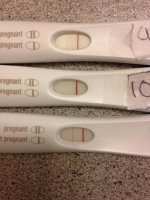 11dpo progression.jpg