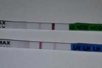 20150602_123529-1-1.jpg